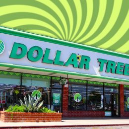 Los Angeles, California – June 27, 2024: DOLLAR TREE Store, American chain of discount variety stores that sells items for 1 dollar or less