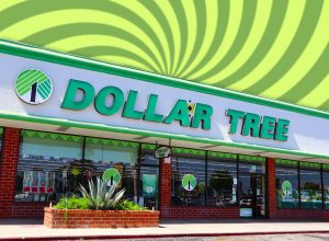 Los Angeles, California – June 27, 2024: DOLLAR TREE Store, American chain of discount variety stores that sells items for 1 dollar or less