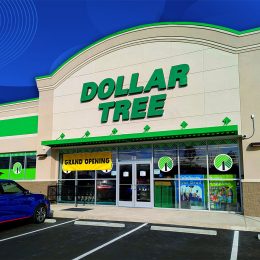 7 Best New Dollar Tree Entryway Finds Under $5. Apex, North Carolina - May 8 2025: Dollar Tree Grand Opening New Store Location Apex Chessie Grand Station Location Apex Peakway NC.