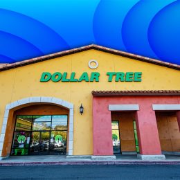 7 Best New Dollar Tree Fall Entryway Finds Under $3. 2024 March 27: Santa Clarita, CA. Dollar Tree general store front entrance. Straight view