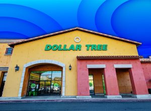 7 Best New Dollar Tree Fall Entryway Finds Under $3. 2024 March 27: Santa Clarita, CA. Dollar Tree general store front entrance. Straight view