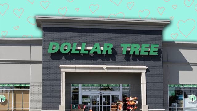 7 Best New Dollar Tree Fall Finds Hitting Shelves in Late July. Indianapolis - September 14, 2025: Dollar Tree Discount Store. Dollar Tree offers an eclectic mix of products for a dollar and a quarter. Or more.