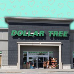 7 Best New Dollar Tree Fall Finds Hitting Shelves in Late July. Indianapolis - September 14, 2025: Dollar Tree Discount Store. Dollar Tree offers an eclectic mix of products for a dollar and a quarter. Or more.