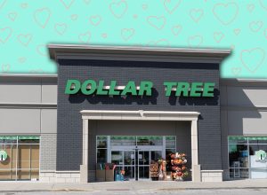 7 Best New Dollar Tree Fall Finds Hitting Shelves in Late July. Indianapolis - September 14, 2025: Dollar Tree Discount Store. Dollar Tree offers an eclectic mix of products for a dollar and a quarter. Or more.
