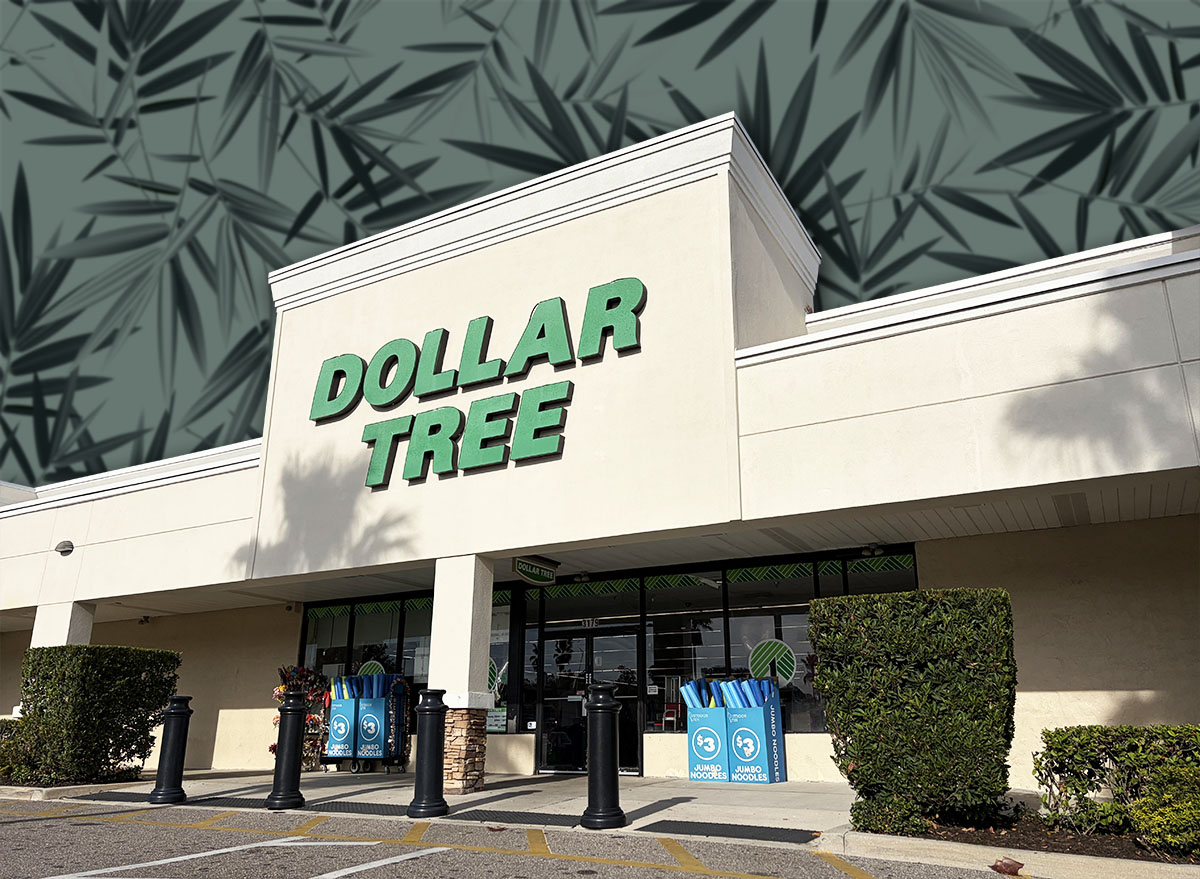 7 Best New Dollar Tree Garden Finds Under $6. Lakeland, Florida USA - 01 12 26: Dollar Tree retail store exterior side view