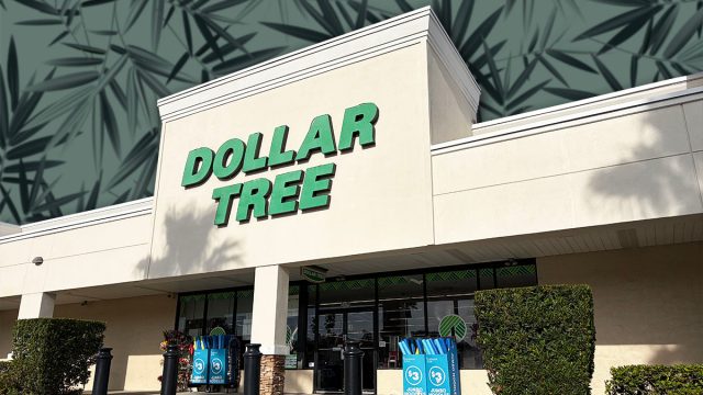 7 Best New Dollar Tree Garden Finds Under $6. Lakeland, Florida USA - 01 12 26: Dollar Tree retail store exterior side view