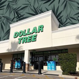 7 Best New Dollar Tree Garden Finds Under $6. Lakeland, Florida USA - 01 12 26: Dollar Tree retail store exterior side view