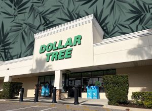7 Best New Dollar Tree Garden Finds Under $6. Lakeland, Florida USA - 01 12 26: Dollar Tree retail store exterior side view