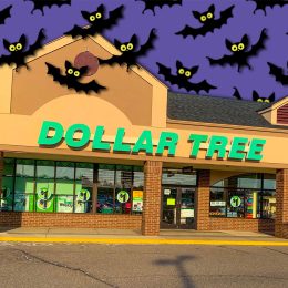 7 Best New Dollar Tree Halloween Finds Under $7 Hitting Shelves in July. TROY, MI- AUGUST 3, 2019: Exterior view of the budget store - Dollar Tree in troy, Michigan, USA