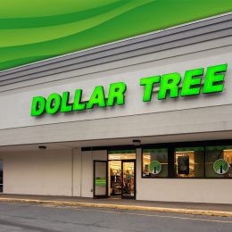 7 Best New Dollar Tree Living Room Room Finds Under $10. Whitesboro, NY - Jun 10, 2024: Overcast view of Dollar Tree Storefront, a discount variety retailer, expanded thru Dollar Tree, Dollar Tree Plus and Family Dollar to over 16600 stores in North America