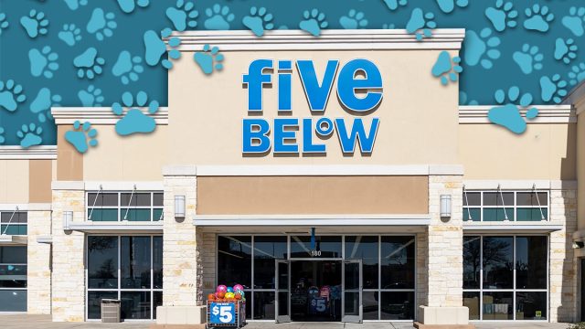 7 Best New Five Below Pet Finds Under $5. Pearland, Texas, USA - March 1, 2022: A Five Below store in Pearland, Texas, USA. Five Below Inc. is an American chain of specialty discount stores.