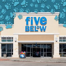 7 Best New Five Below Pet Finds Under $5. Pearland, Texas, USA - March 1, 2022: A Five Below store in Pearland, Texas, USA. Five Below Inc. is an American chain of specialty discount stores.