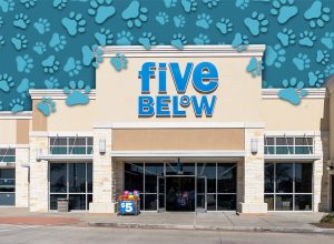 7 Best New Five Below Pet Finds Under $5. Pearland, Texas, USA - March 1, 2022: A Five Below store in Pearland, Texas, USA. Five Below Inc. is an American chain of specialty discount stores.