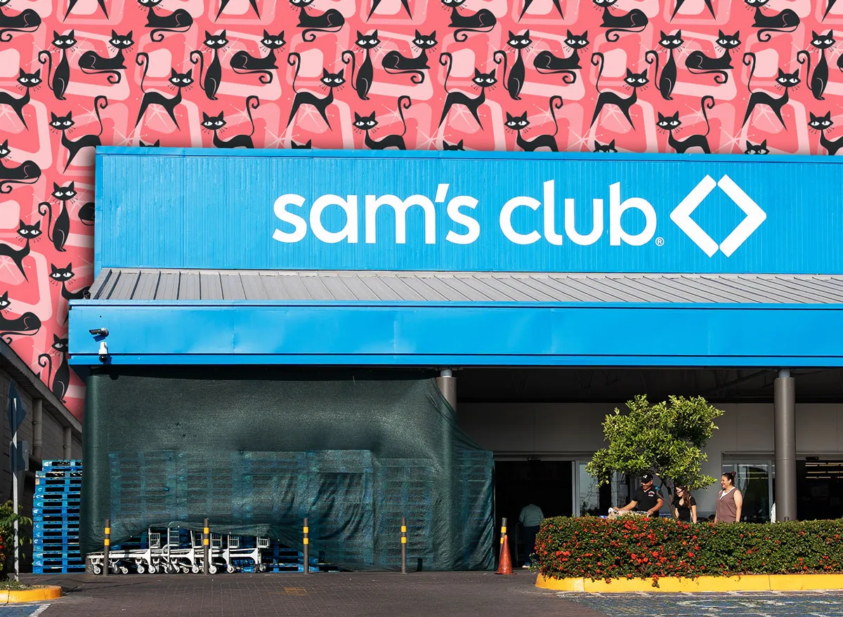 7 Best New Sam's Club Pet Finds Under $25