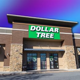 7 Dollar Tree Organizing Hacks That Will Blow Your Mind. Lancaster, PA, USA - January 14, 2018: The entrance of the Dollar Tree store, an American chain of discount stores. Headquartered in Chesapeake, VA, it operates 13,600 stores.