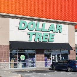 9 Dollar Tree Finds Under $7 That Shoppers Say Look Straight Out of HomeGoods. Indianapolis - October 26, 2024: Dollar Tree Discount Store. Dollar Tree offers an eclectic mix of products for a dollar and a quarter. Or more.