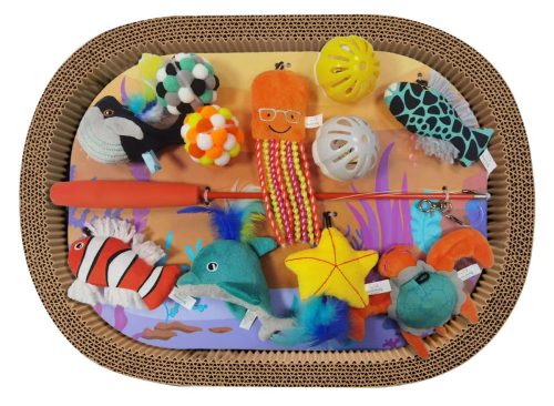 Buddy Buddy Cat Scratcher Bed and Toys 13 piece Set