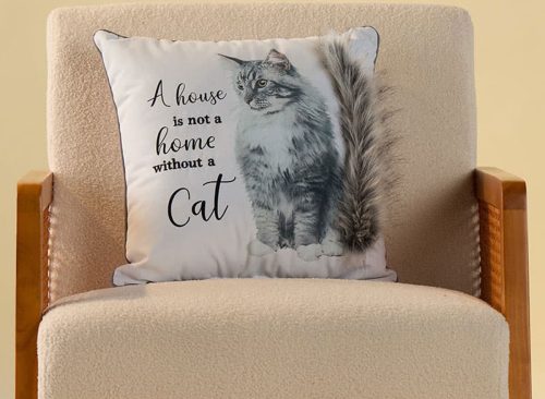 Cat Pillow