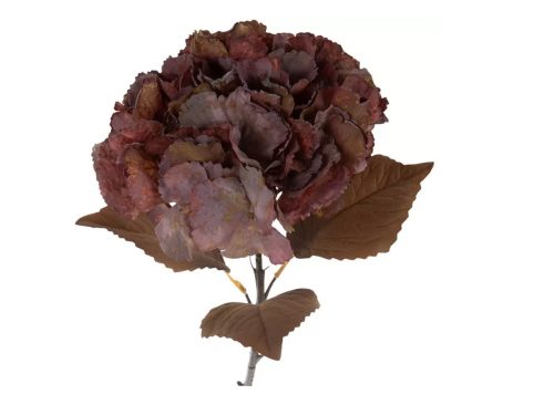 Dried Look Hydrangea Stem