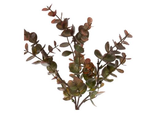 Green And Brown Eucalyptus Pick