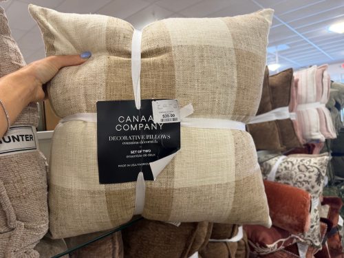 Homegoods-fall-pottery-barn-less-pillows