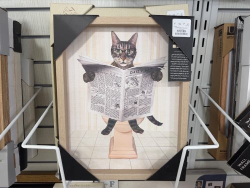 Homegoods-new-under-$20-bathroom-art