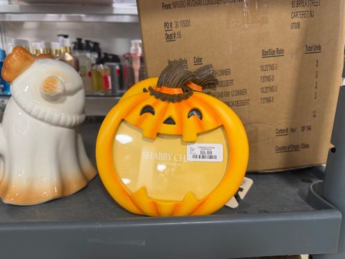 Homegoods-new-under-$20-halloween-decor