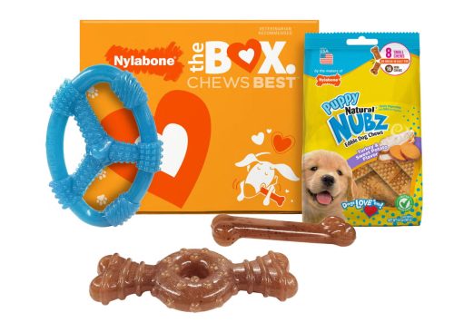 Nylabone Puppy Chew Toys and Small NUBZ Gift Box 4 count