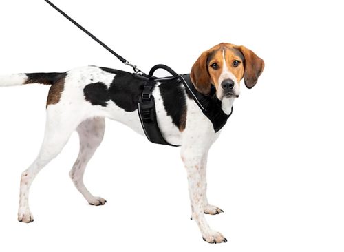 PetSafe EasySport Harness