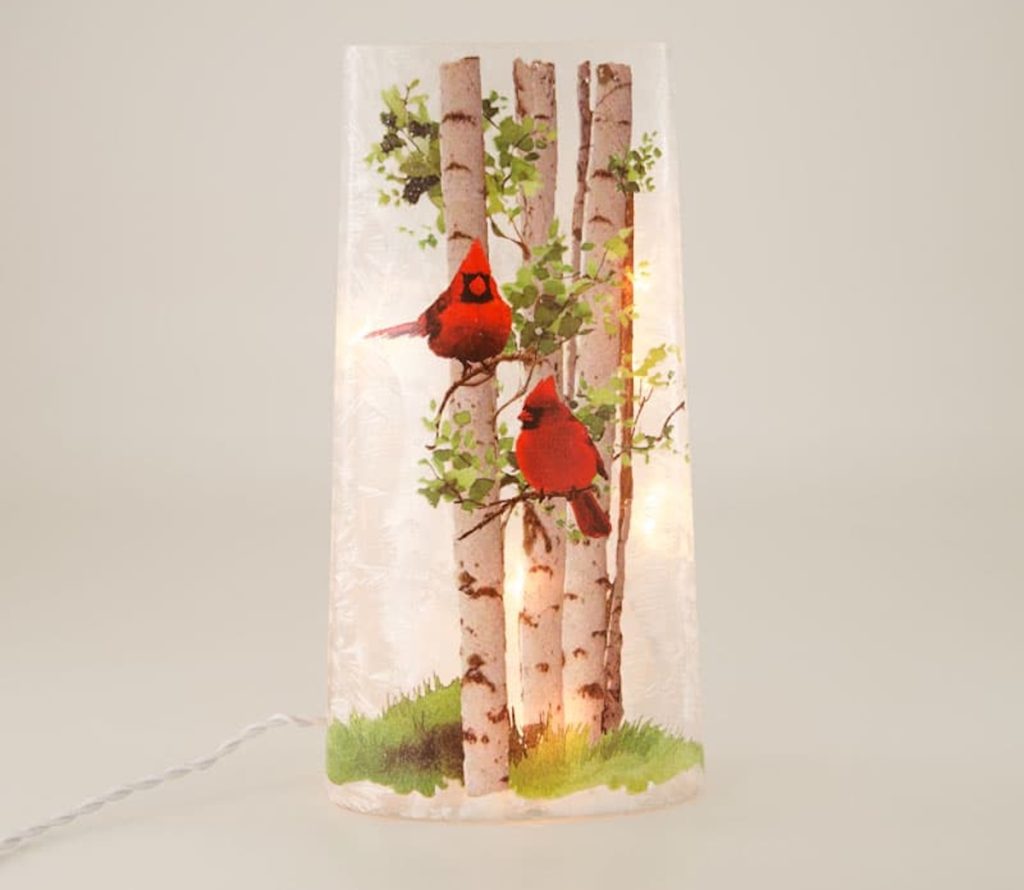 Cardinal Birch Accent Light