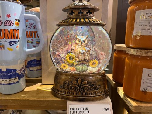 cracker-barrel-fall-finds-july-owl-glitter-globe