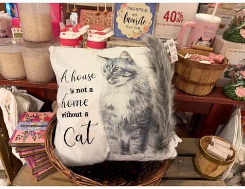 cracker-barrel-look-expensive-cat-pillow