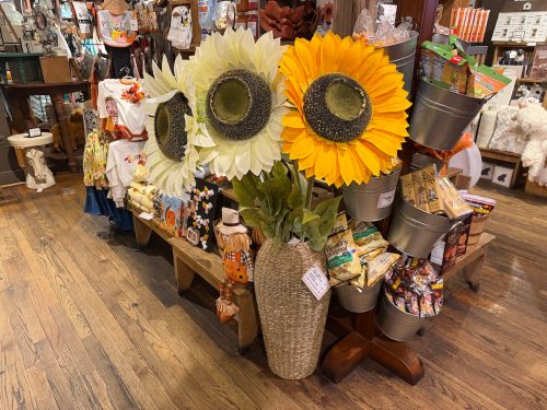 cracker-barrel-look-expensive-giant-sunflowers