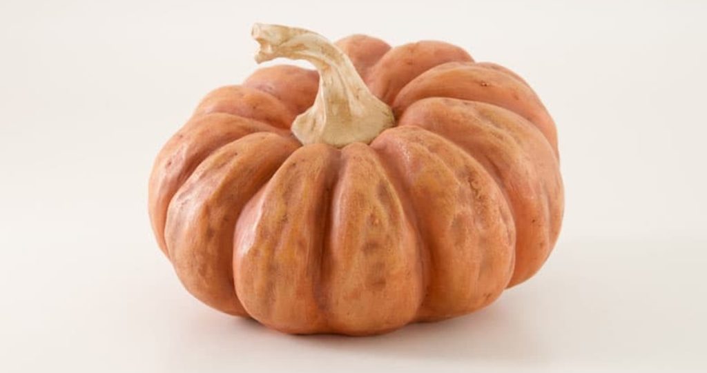 Decorative Orange Pumpkin