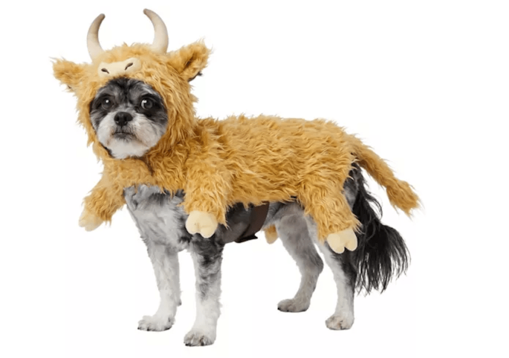 Retriever Highland Cow Dog Costume