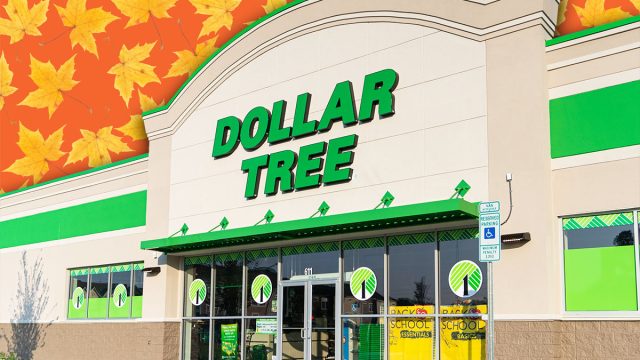 11 Best Dollar Tree Fall Craft Finds Under $3. Apex, North Carolina - August 18 2025: Dollar Tree Storefront Exterior Building Entrance Apex North Carolina Retail Location
