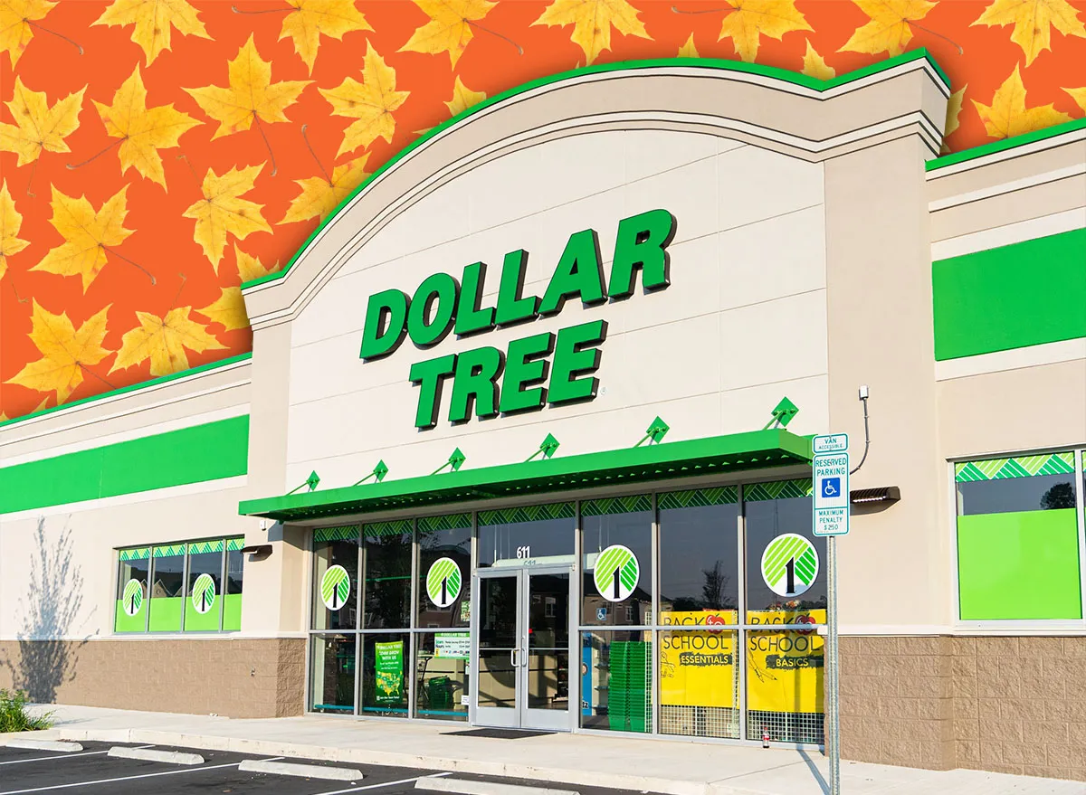 11 Best Dollar Tree Fall Craft Finds Under $3