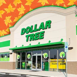 11 Best Dollar Tree Fall Craft Finds Under $3. Apex, North Carolina - August 18 2025: Dollar Tree Storefront Exterior Building Entrance Apex North Carolina Retail Location