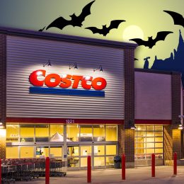 11 Best New Costco Fall and Halloween Porch and Backyard Finds. Apex, North Carolina - September 3 2025: Costco Wholesale Exterior Kirkland Signature Warehouse Apex NC