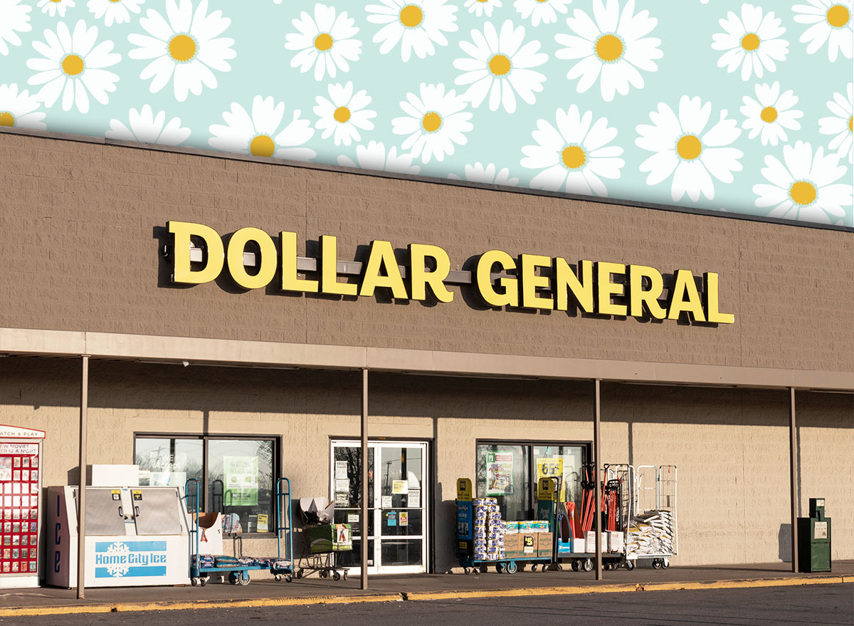 11 Best New Dollar General Bedroom and Cozy Finds Under $20. Greensburg - Circa November 2020: Dollar General Retail Location. Dollar General is a Small-Box Discount Retailer.