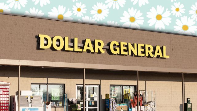 11 Best New Dollar General Bedroom and Cozy Finds Under $20. Greensburg - Circa November 2020: Dollar General Retail Location. Dollar General is a Small-Box Discount Retailer.