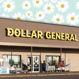 11 Best New Dollar General Bedroom and Cozy Finds Under $20. Greensburg - Circa November 2020: Dollar General Retail Location. Dollar General is a Small-Box Discount Retailer.