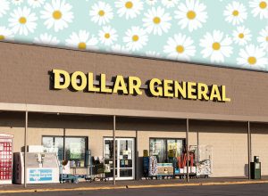 11 Best New Dollar General Bedroom and Cozy Finds Under $20. Greensburg - Circa November 2020: Dollar General Retail Location. Dollar General is a Small-Box Discount Retailer.