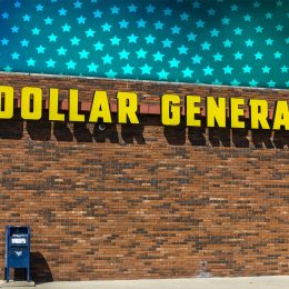 11 Best New Dollar General Finds Flying Off Shelves Right Now. Indianapolis - Circa September 2017: Dollar General Retail Location. Dollar General is a Small-Box Discount Retailer VIII