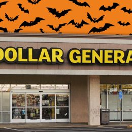 11 Best New Dollar General Halloween Kitchen Finds Under $5. Tyler, TX - November, 17, 2018: Dollar General Store located in Green Acres Shopping Center in Tyler, TX