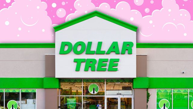 11 Best New Dollar Tree Bathroom Finds Under $1.50. Rome, NY - Jul 20, 2025: Dollar Tree Store, is a Fortune 200 company and a leading operator of discount variety stores in North America. It operates over 16000 stores across North America