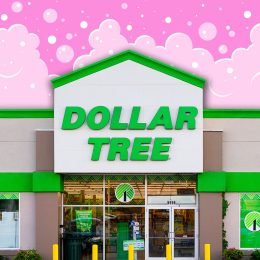 11 Best New Dollar Tree Bathroom Finds Under $1.50. Rome, NY - Jul 20, 2025: Dollar Tree Store, is a Fortune 200 company and a leading operator of discount variety stores in North America. It operates over 16000 stores across North America