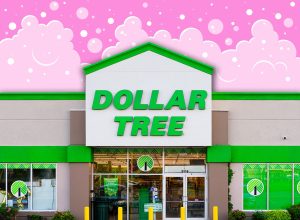 11 Best New Dollar Tree Bathroom Finds Under $1.50. Rome, NY - Jul 20, 2025: Dollar Tree Store, is a Fortune 200 company and a leading operator of discount variety stores in North America. It operates over 16000 stores across North America