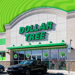 11 Best New Dollar Tree Fall Living Room Finds Under $3. Apex North Carolina - January 1 2026: Dollar Tree New Store Display Exterior Storefront With Iconic Green Logo On Sunny Day