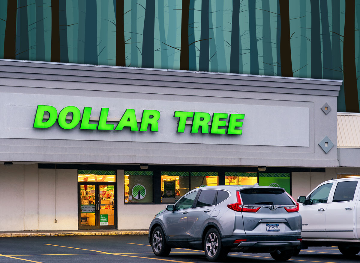 11 Best New Dollar Tree Halloween Door and Porch Finds Under $1.50. Whitesboro, NY - Jan 11, 2026: Night view of Dollar Tree Storefront, a discount variety retailer, expanded thru Dollar Tree, Dollar Tree Plus and Family Dollar to over 16600 stores in North America